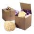 Natural Honeycomb Sea Sponge 7-7.5inch Bleached & Unbleached (Packs of 1 & 3)